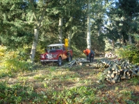  All down, and just some clearing up with a bit of logging and splitting to end the day